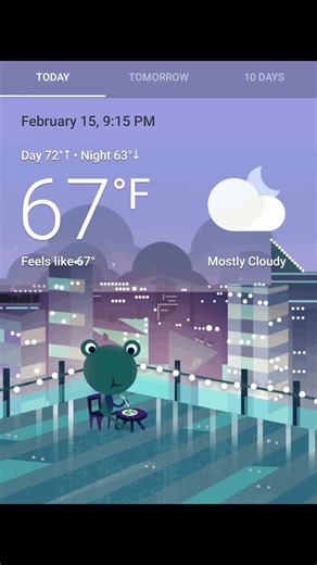 Google Weather Frog 🩷 #fyp #google