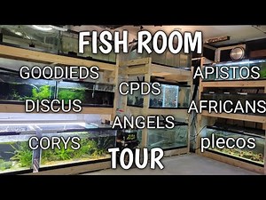 FISH ROOM TOUR