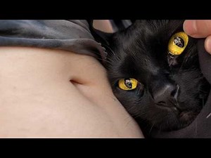UNUSUAL MEMES COMPILATION V374