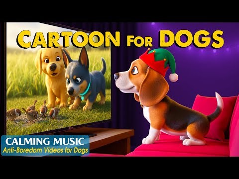 Dog Cartoon with Music: Top Entertaining Videos to Make Your Dog Happier Every Day – Relaxing Dog TV