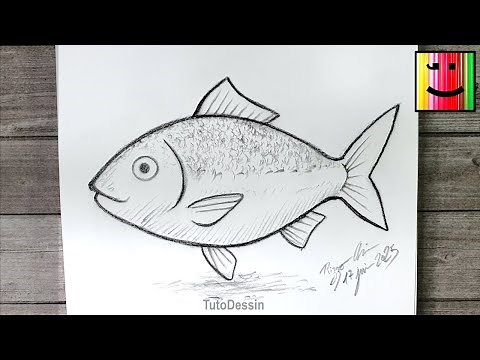 Comment dessiner un poisson au crayon de papier | Tutoriel facile pour débutants