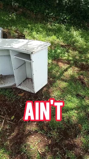 Thwomp25 on Instagram: "I found Chomper Plant hiding in Epstein's Garage💀💀 #epstein #chomper #plantsvszombies #diddyblud #brainrot"