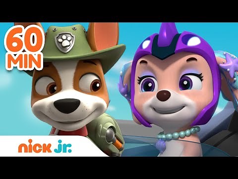 PAW Patrol Ultimate Adventure Bay Rescues! w/Coral, Tracker & Rex | 60 Minute Compilation | Nick Jr.