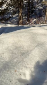 Do YOU want to TASTE this PERFECT SNOWBALL?!? Let us know! #reels | SnowCreate