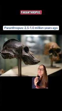 Meet your weird distant cousins: Paranthropus!