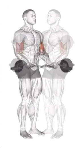 ⭐ Ultimate Biceps Workout | Build Bigger Arms Fast! 💪🔥