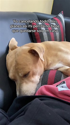 Noelia Muñoz on TikTok