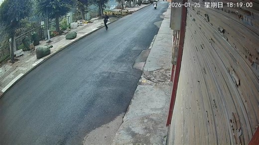Runner chased by unleashed dog until scooter intervenes in Sichuan, China