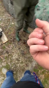 Saving Fish From My Dying Pool Pond! #Jesus | Jatie Vlogs