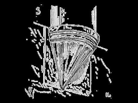 SOR 1135 Pitfalls of Reliability Testing