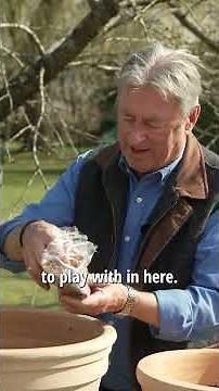 How to Plant Summer Flowering Bulbs