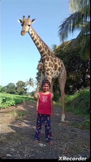 #freefire #shortsviral #animals #🦒🦒🦒🦒#freefireshorts
