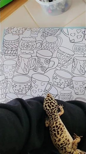 Coloring with Katara #leopardgecko #reptiles #lizard