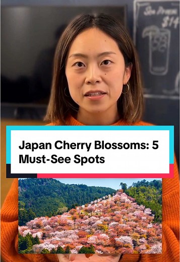 Japan Cherry Blossoms: 5 Must-See Viewing Spots