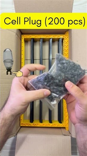 Queen Rearing Kit | Unboxing | BEESTKEEPING #beekeeping #honey #bee #queenrearing