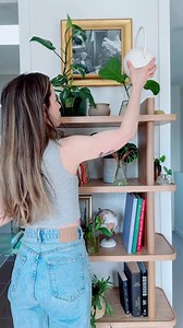14K views · 155 reactions | How to keep your plants alive whilst...