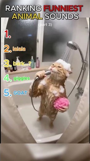 Ranking TOP 5 FUNNIEST ANIMAL sounds (part 3) #fyp #shorts #funny