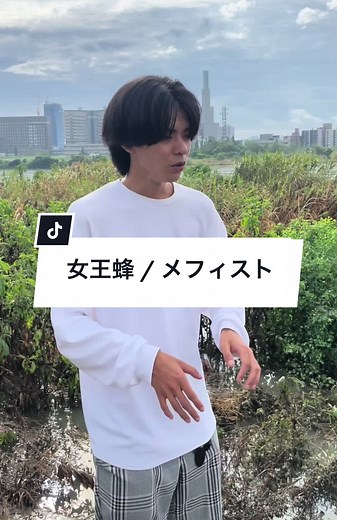 女王蜂のメフィスト歌詞考察