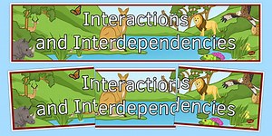 Interactions and Interdependencies Display Banner