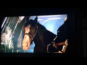 Original Babe Movie Clip for Capstone (#1)