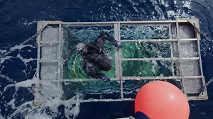 We tested our LP Legacy® sub-flooring panels for moisture resistance and durability in shark-infested waters. Watch original footage of the extreme product testing. | LP Building Solutions for Professionals