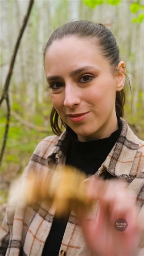 DIY Tool You NEED for the Perfect Campfire 🔥🪵 #CampingHacks #DIY