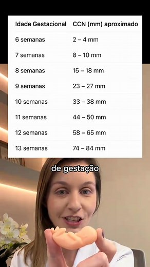 Tamanho Embrionário e Fetal: CCN na Gravidez