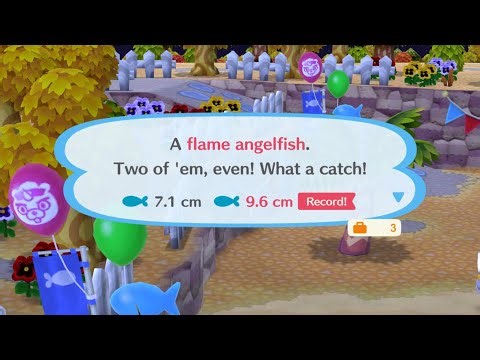 Playing Animal Crossing Pocket Camp - Fishing Tourney (Food Festival)