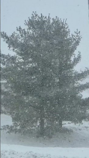 Mesmerizing SNOWFALL in Slow Motion ❄️✨