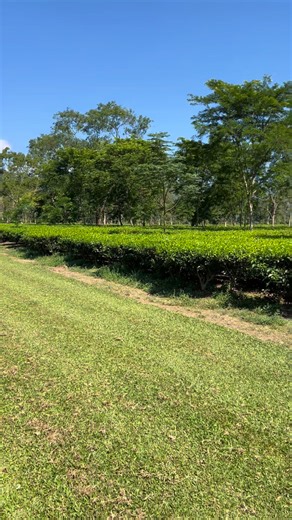 Kaushik Kumar Deka on Reels