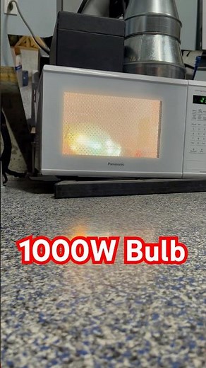 ⚡ Microwaving a 1000-Watt Light Bulb!
