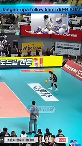 Megatron Go Go | Sun Volley