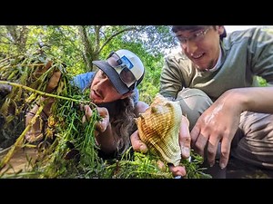 Slime & Seashells | We Found 2 Million Year Old Fossils of Ancient Ocean Life in this Florida Creek!