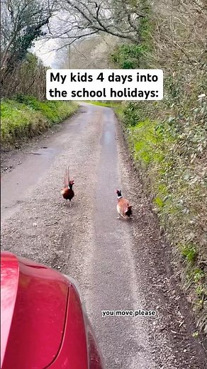Me on repeat to my kids. 🫠😅 #schoolholidays #reallife #mumlife