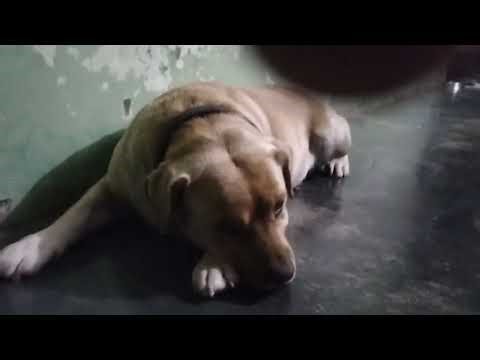 Perry attack on me at last#dangerous perry