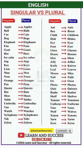 Stop Making These Grammar Mistakes! 🚫 Singular vs Plural