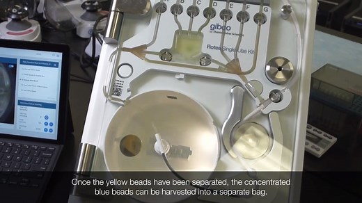 Gibco CTS Rotea system bead kit: How to run a separation protocol - Scientific Videos | Thermo Fisher Scientific US