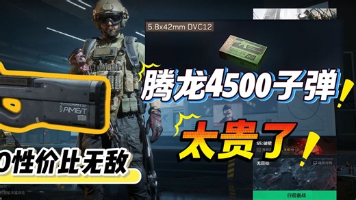 玩不起腾龙了，金弹涨到4500，P90性价比高的上分神枪