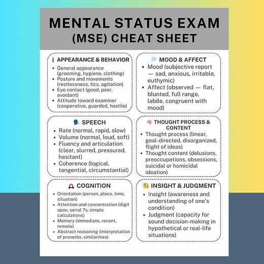 Mental Status Exam MSE Cheat Sheet PDF Quick Reference Guide Therapist Mental Health Assessment Phrases Progress Notes Therapy Student Tool - Etsy