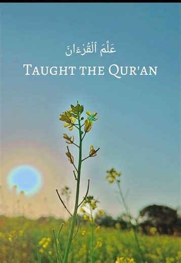 Surah Rahman Full | Beautiful Quran Recitation | Heart Touching TilawatSurah Ar-Rahman Complete |