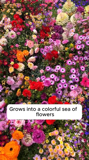 4K views · 759 reactions | “Bring Spring to Life”  Imagine stepping...