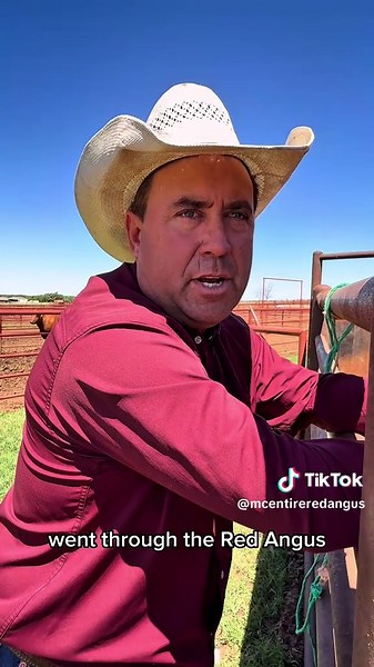 mcentireredangus on TikTok