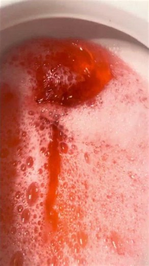 2019 Sterling Windham toilet Siphoning out with soapy red water!