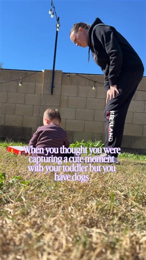 Cait | EP & IVF Mom on Instagram: "That was 1/5 interactions my toddler had with dog poop, all before 12:30pm. I’d never get rid of my dogs, but I need moms with older kids and dogs to tell me it gets better bc some days I just wanna leave the front door open 😭🙂‍↔️😤 #toddlermomlife #lifewithkidsanddogs #motherhoodunfiltered"