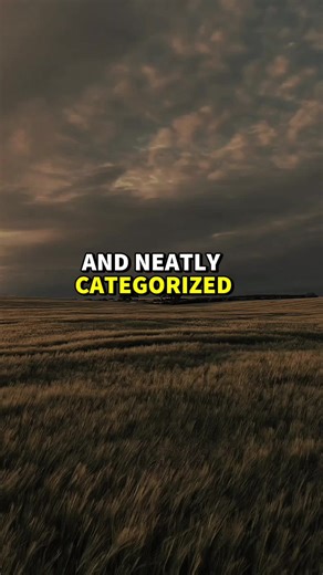 Exploring Love Through English Poetry in the USA