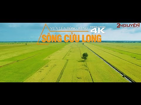 Vựa Lúa Đồng Bằng Sông Cửu Long | VIỆT NAM TƯƠI ĐẸP - FLYCAM 4K