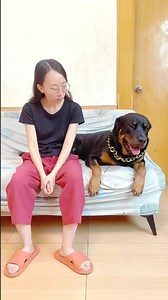 Does this dog listen to tone Obviously, if you don’t eat the toast, you will be punished by drinking it 😂😅 #dog #dogfunny #yituo | Dog Yi Tuo