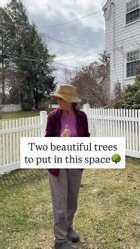 Medium-Sized Tree Ideas