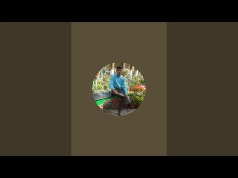 RAJEEV VLOGS I /"Travel. Explore. Enjoy! 🌍✈ "दुनिया घूमने का सफर | TRAVEL VLOG IN HINDI