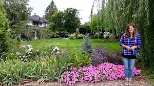 100K views · 4.3K reactions | August Garden Tour  | Garden Answer | Facebook